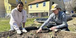 Summer Planting at Walnut Street  Community Garden