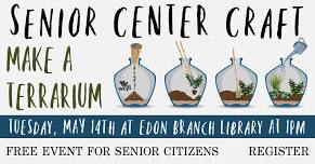 Senior Center Craft~Make a Terrarium: Edon Branch Library