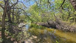 Clean up the Plastic in the River by Oak Park