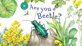 Story Time: Are You a Beetle?