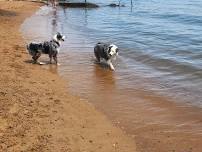 a swim at Downs Park in MD