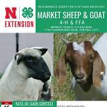 Market Sheep & Goat Rate-of-Gain Weigh-Day