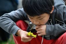 Stony Brook Nature Camp: Wanderers - Planet Protectors