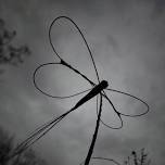 Willow Weaving Workshop ~ Dragonflies and Bulrushes