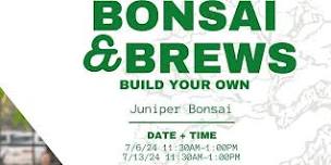 Bonsai and Brews - Ivanhoe Park Brewing - Juniper Bonsai 7/6