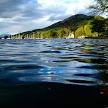 Wild Swimming Club