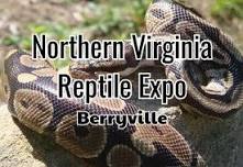 Northern Virginia Reptile Expo - Berryville