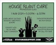 House Plant Care