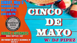 Sunday Fun Day Cinco De Mayo