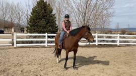 Mastering Mindful Horsemanship