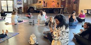 Puppy Yoga at Timberyard - Saturday May 25th, 2024