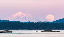 Beach Cleanup for Earth Week (Bellingham)