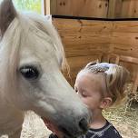 Horses 101 - Kids Extended session!