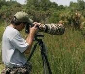 Birding Photography Field Trip