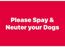 Canine Mobile Spay/Neuter Clinic