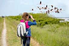 2024 Free Nature Alberta Migratory Bird Day at Lois Hole Centennial Park