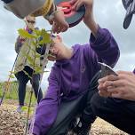 Tiny Forest Citizen Science Workshop