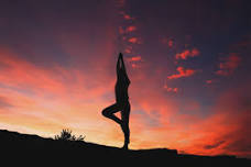 Yoga in the Gallery