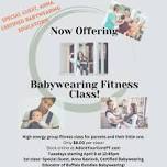 Babywearing Fitness Class — WNY Postpartum Connection