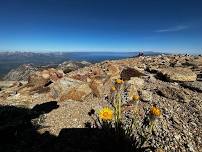 Hike the Tallest Peak in Tahoe, Freel Peak 10,844!