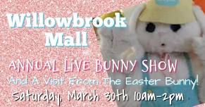 Willowbrook Mall Live Bunny Show