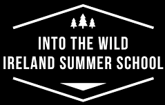 Ireland Summer School: INTO THE WILD