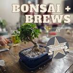 Bonsai + Brews at Tecumseh Brewing Co.