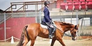 Performance Horse Show King Co 4-H