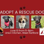 Adopt a Rescue Dog in West Hartford CT