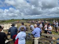 B+LNZ North Waikato Farming For Profit Field Day