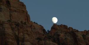 Moonlit Hike