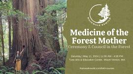 Medicine of the Forest Mother