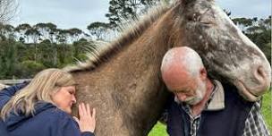 Horses, You & Your Relationship Weekend Retreat * 26-28 April