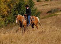 Now open to the public. Reined cow horse clinic with Ben Balow and John Hovde.