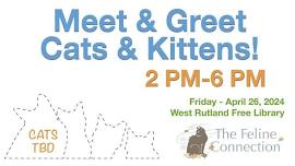 Meet Your New Best Feline Friend at the West Rutland Free Library's Cat Meet & Greet!