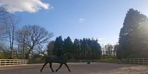 Summer Dressage Show