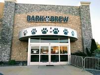 bark and brew photos