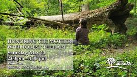 Honoring the Mother with Forest Therapy