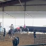 Ranch Sorting Clinic — Blueberry Creek Stables