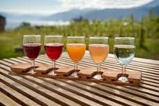 Sognefjord Cider Tour: Fjord Cruise and Local Vineyard Experience from Vossevangen