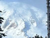 Paradise or Tatoosh Snowshoe or Hike - MRNP