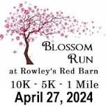 Blossom Run 10K, 5K, 1 Mile