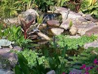 Summer Pond Maintenance Seminar