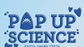 Pop Up Science: Fossil Shark Teeth