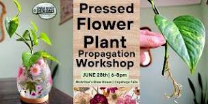 Pressed Flower Plant Propagation| McArthurs Brew House