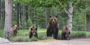 Bear Aware Presentation with Montana Fish Wildlife and Parks - Whitefish