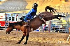 Overland Stage Stampede Rodeo