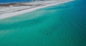 Navarre Beach Clear Bottom Kayak Tours