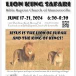 VBS Lion King Safari