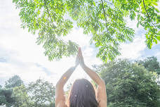 Yoga in the Park